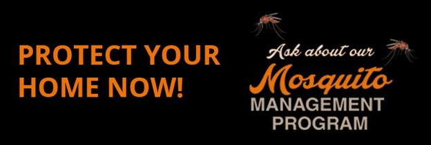 Seeing Mosquitos and Ticks?