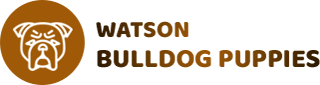 (OFF) Watson Bulldog Puppies